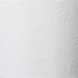 Бумага туалетная рулонная Protissue T8 2-слойная белая 6 рулонов по 215 метров (С352)