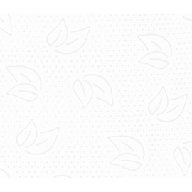 Бумага туалетная рулонная Protissue T8 2-слойная белая 6 рулонов по 215 метров (С352)