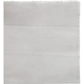 Салфетки влажные Luscan антибактериальные саше (1000 штук в упаковке)