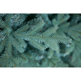 Ёлка искусственная новогодняя Green Trees Россо Премиум напольная 2.1 м