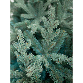 Ёлка искусственная новогодняя Green Trees Россо Премиум напольная 2.1 м