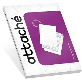 Этикетки самоклеящиеся Attache (ProMega Label Basic) каучуковый клей А4 210х297 мм 1 штука на листе белые (100 листов в упаковке)