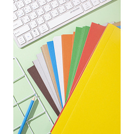 Картон цветной Выбор есть (№1School) Отличник (282х201 мм, 80 листов, 10 цветов, немелованный)