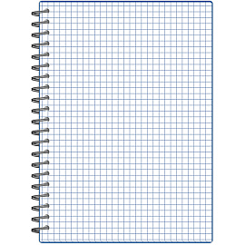 Бизнес-тетрадь Attache Economy А5 48 листов синяя в клетку на спирали (210х150 мм)