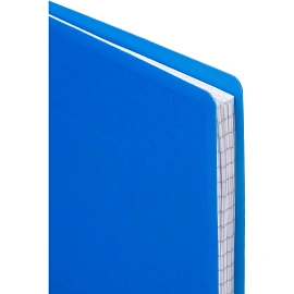 Бизнес-тетрадь Attache Economy А5 80 листов синяя в клетку на спирали (210х150 мм)