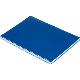 Бизнес-тетрадь Attache Economy А4 96 листов синяя в клетку на спирали (294х210 мм)