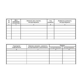 Журнал регистрации вводного инструктажа по пожарной безопасности ОТ-04 (32 листа, скрепка, обложка картон)