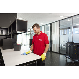 Салфетки хозяйственные Vileda Professional микрофибра 40x38 см 135 г/кв.м красные (5 штук в упаковке)