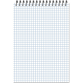 Блокнот Attache Персона А5 60 листов разноцветный в клетку на спирали (204х146 мм)