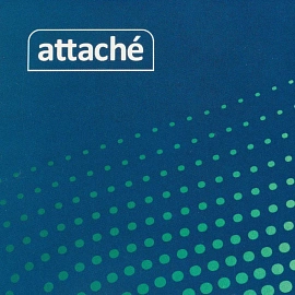 Блокнот Attache Forma А4 60 листов разноцветный в клетку на спирали (204x291 мм)