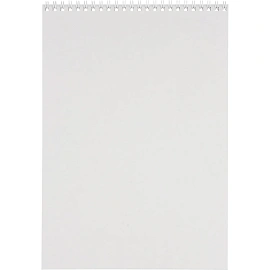 Блокнот Attache Forma А4 40 листов разноцветный в клетку на спирали (204x291 мм)