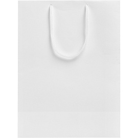 Пакет подарочный Проект 111 (35x23x10 см)