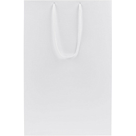 Пакет подарочный Проект 111 Porta (35х23х10 см, 15837.60)