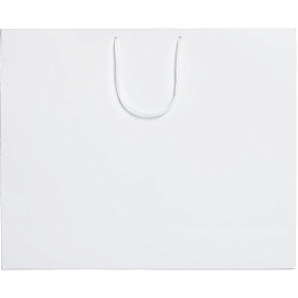 Пакет подарочный Проект 111 Ample (35x43x12 см, 7530.60)