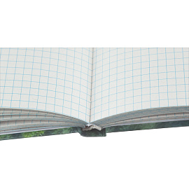 Бизнес-тетрадь Attache Economy Forest А5 120 листов в клетку на сшивке (125x200 мм)