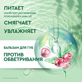Бальзам для губ Чистая Линия Против обветривания Брусника 4 г