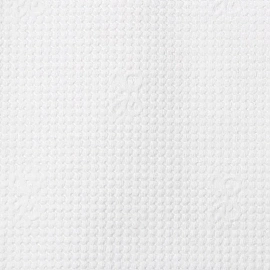 Салфетки бумажные Focus 1-слойные 20х24 см белые (100 листов в пачке)