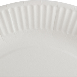 Тарелка одноразовая бумажная Комус Эконом 230 мм белая 50 штук в упаковке