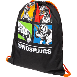 Мешок для сменной обуви Комус Класс (№1 School) Dinosaurs 330x420 мм черный с 1 отделением фото Мешок для сменной обуви Комус Класс (№1 School) Dinosaurs 330x420 мм черный с 1 отделением
