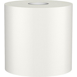 Полотенца бумажные рулонные Veiro Professional Basic M2 1-слойные серые 6 рулонов по 300 метров (KP105)