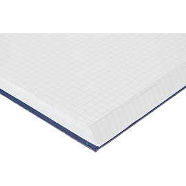 Книга учета 96 листов А4 в клетку на сшивке блок офсетная бумага Attache (обложка - бумвинил)