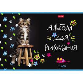 Альбом для рисования Hatber Мурчат коты А4 32 листа