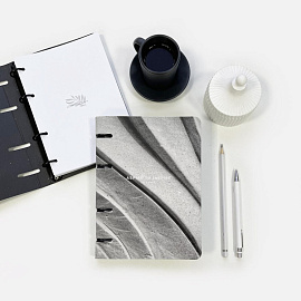 Тетрадь на кольцах со сменным блоком Be Smart Sence А5 80 листов серая в клетку с перфорацией, матовая ламинация