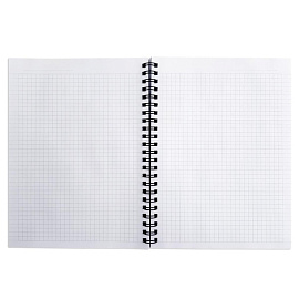 Бизнес-тетрадь Be Smart Sence А5 80 листов в клетку на спирали (обложка с рисунком, матовая ламинация)