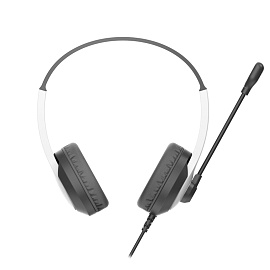 Гарнитура проводная A4Tech Fstyler FH100U Panda