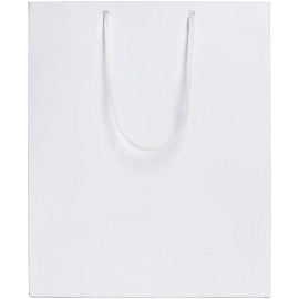 Пакет подарочный Проект 111 Ample (28x23x9 см)