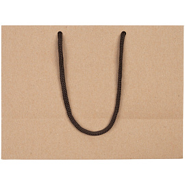 Пакет подарочный Проект 111 Крафт (17x23x10 см)