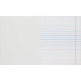 Тетрадь школьная зеленая Выбор есть А5 12 листов в линейку (20 штук в упаковке)