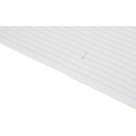 Тетрадь школьная зеленая Выбор есть А5 12 листов в линейку (20 штук в упаковке)