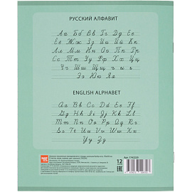 Тетрадь школьная зеленая Выбор есть А5 12 листов в линейку (20 штук в упаковке)