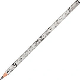 Карандаш чернографитный НВ Bruno Visconti ArtGraphix заточенный трехгранный газета