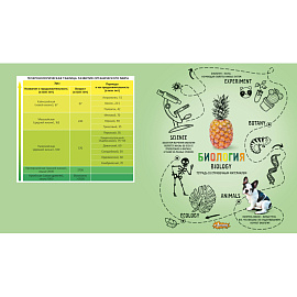 Тетрадь предметная по биологии Комус Класс (№1 School) Ребус А5 48 листов с рисунком в клетку, УФ-сплошной глянцевый лак
