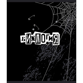 Тетрадь предметная №1 School (Комус класс) Панк А5 48 листов с рисунком комбинированная, УФ-сплошной глянцевый лак (10 штук в упаковке)