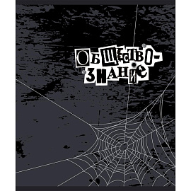 Тетрадь предметная №1 School (Комус класс) Панк А5 48 листов с рисунком комбинированная, УФ-сплошной глянцевый лак (10 штук в упаковке)