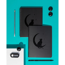 Тетрадь общая Attache Selection Кошка А5 80 листов в клетку на спирали