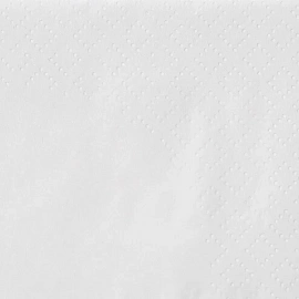 Салфетки бумажные Soffione 2-слойные 24х24 см белые (100 листов в пачке)