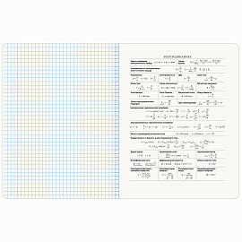 Тетрадь предметная "PASTEL" 48 л., SoftTouch, фольга, ФИЗИКА, клетка, BRAUBERG, 404319