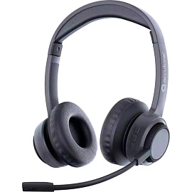 Гарнитура беспроводная Accutone Sonar 210 (ZE-BTB210)