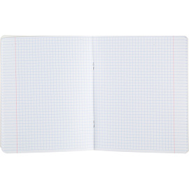 Тетрадь предметная по физике №1 School Панк А5 48 листов с рисунком в клетку, УФ-сплошной глянцевый лак