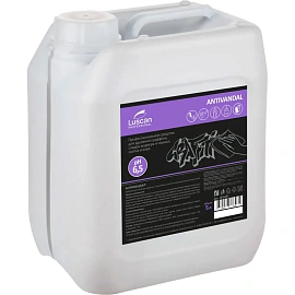 Средство для удаления пигментных загрязнений, чернил, маркера, следов скотча Luscan Professional Antivandal 5 л