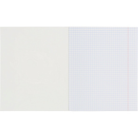 Тетрадь общая №1 School Football А5 48 листов в клетку на скрепке обложка с рисунком ВД-лак