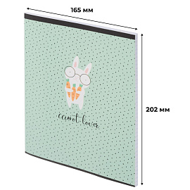 Тетрадь общая №1 School Кролик А5 48 листов в клетку на скрепке обложка с рисунком ВД-лак