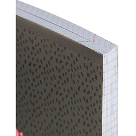 Тетрадь общая №1 School Panda А5 96 листов в клетку на скрепке обложка с рисунком ВД-лак