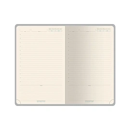 Ежедневник недатированный  А5 Premier (красный) 3-686/01