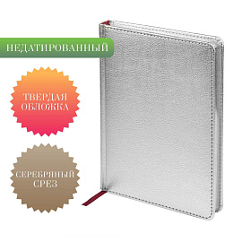 Ежедневник недатированный Bruno Visconti Sidney Nebraska искусственная кожа А5 136 листов серебристый (серебристый обрез)