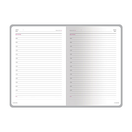 Ежедневник недатированный Bruno Visconti Sidney Nebraska искусственная кожа А5 136 листов серебристый (серебристый обрез)